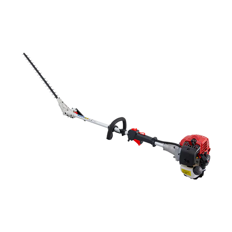 Den tekniska förträffligheten hos mångsidig häcksax i modern landskapsarkitektur